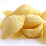 Giusto Sapore Italian Pasta - Conchiglioni 500g
